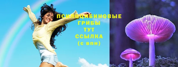 скорость Алексин