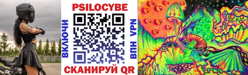 мориарти клад  Куртамыш  Галлюциногенные грибы Psilocybine cubensis 